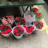 2017雲彩之旅